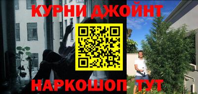 экстази Гай