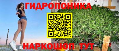 экстази Гай