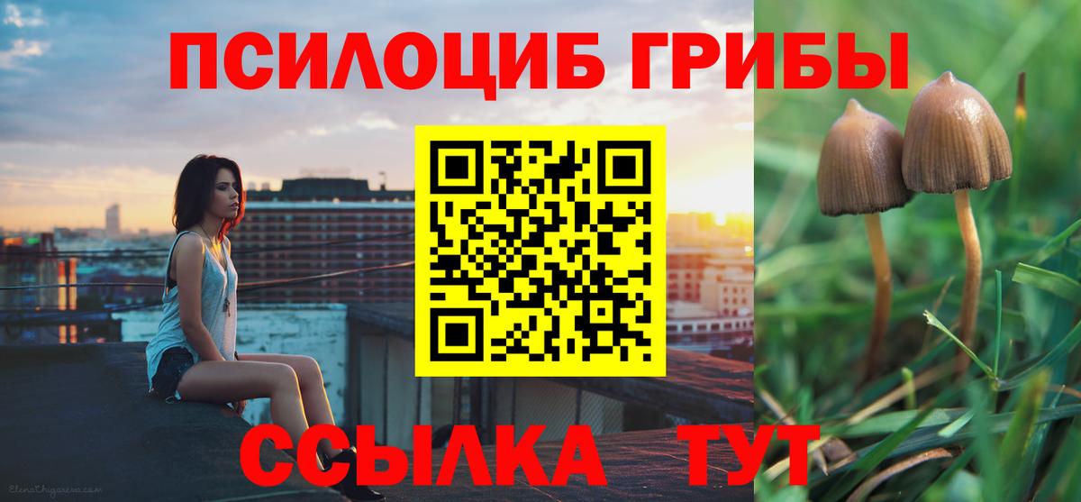 Галлюциногенные грибы GOLDEN TEACHER  Вход с VPN  Губкин 