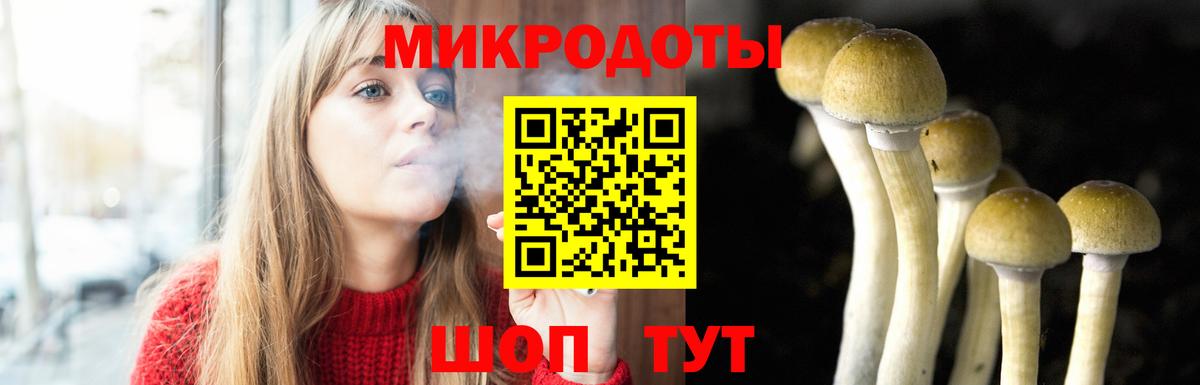 Псилоцибиновые грибы ЛСД Губкин